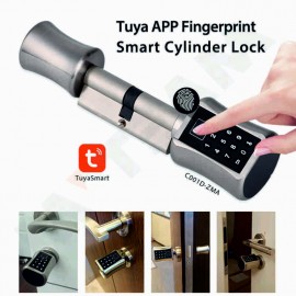 Electronic Finger Print...